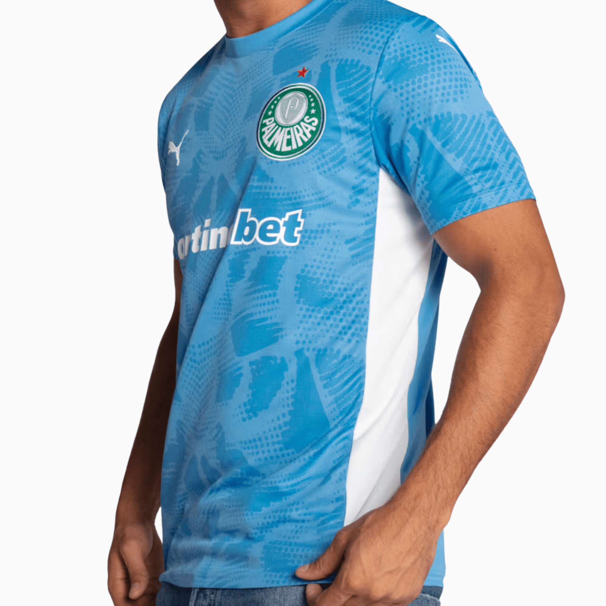 Camisa Goleiro Palmeiras 2025/26 Goleiro I - Manto Club