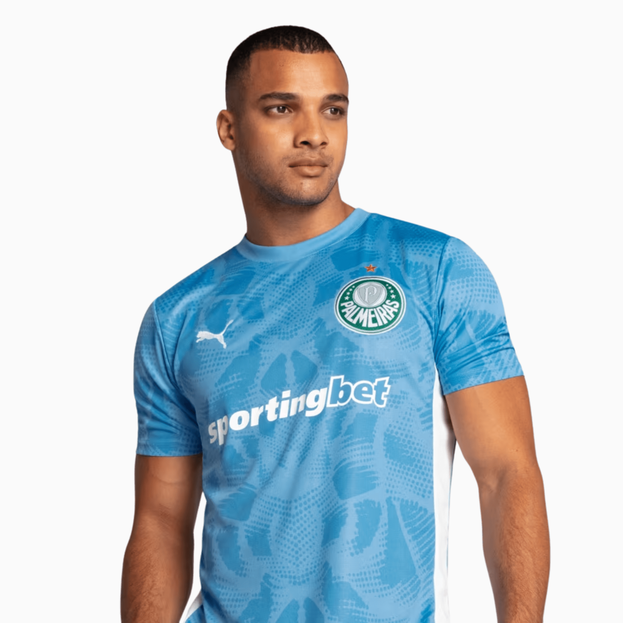 Camisa Goleiro Palmeiras 2025/26 Goleiro I - Manto Club
