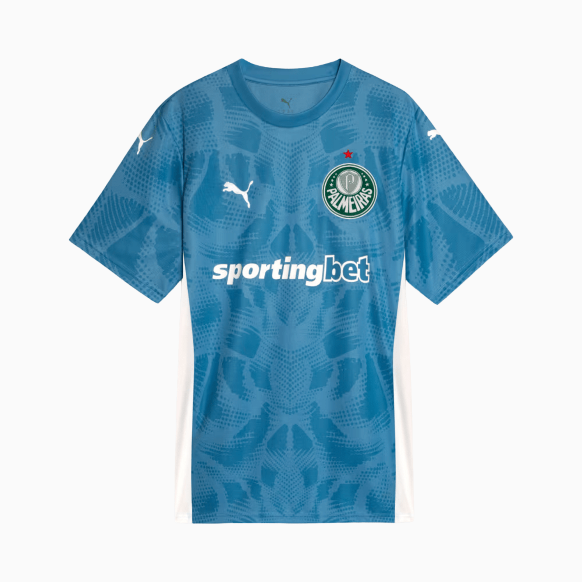 Camisa Goleiro Palmeiras 2025/26 Goleiro I - Manto Club