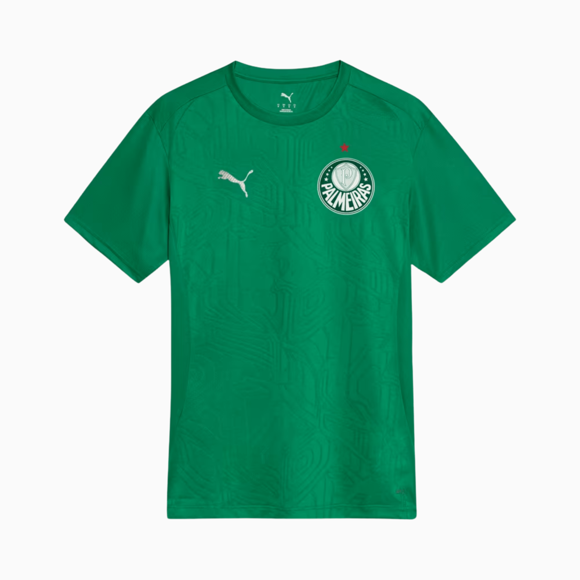 Camisa Palmeiras 2025/26 Treino - Manto Club