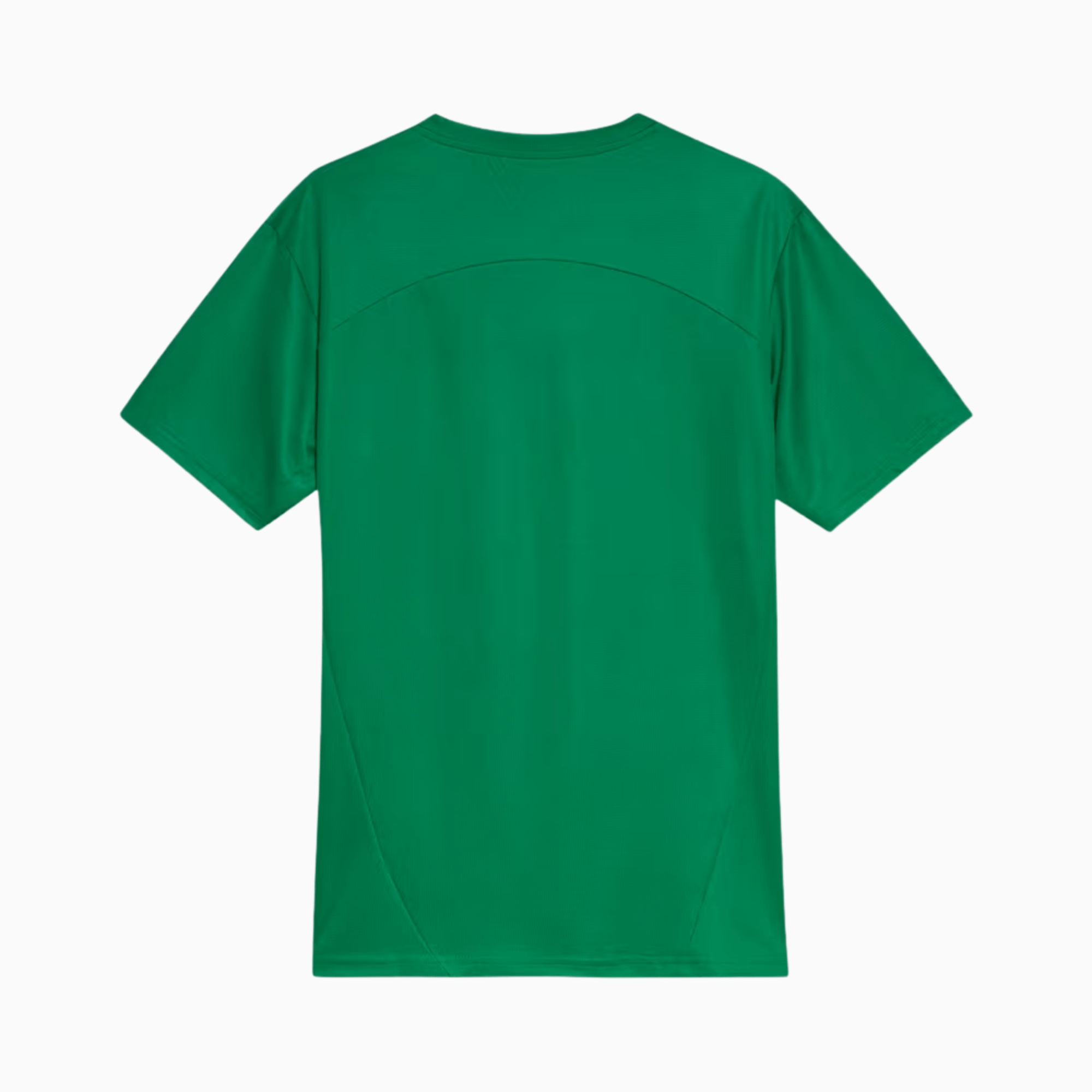 Camisa Palmeiras 2025/26 Treino - Manto Club