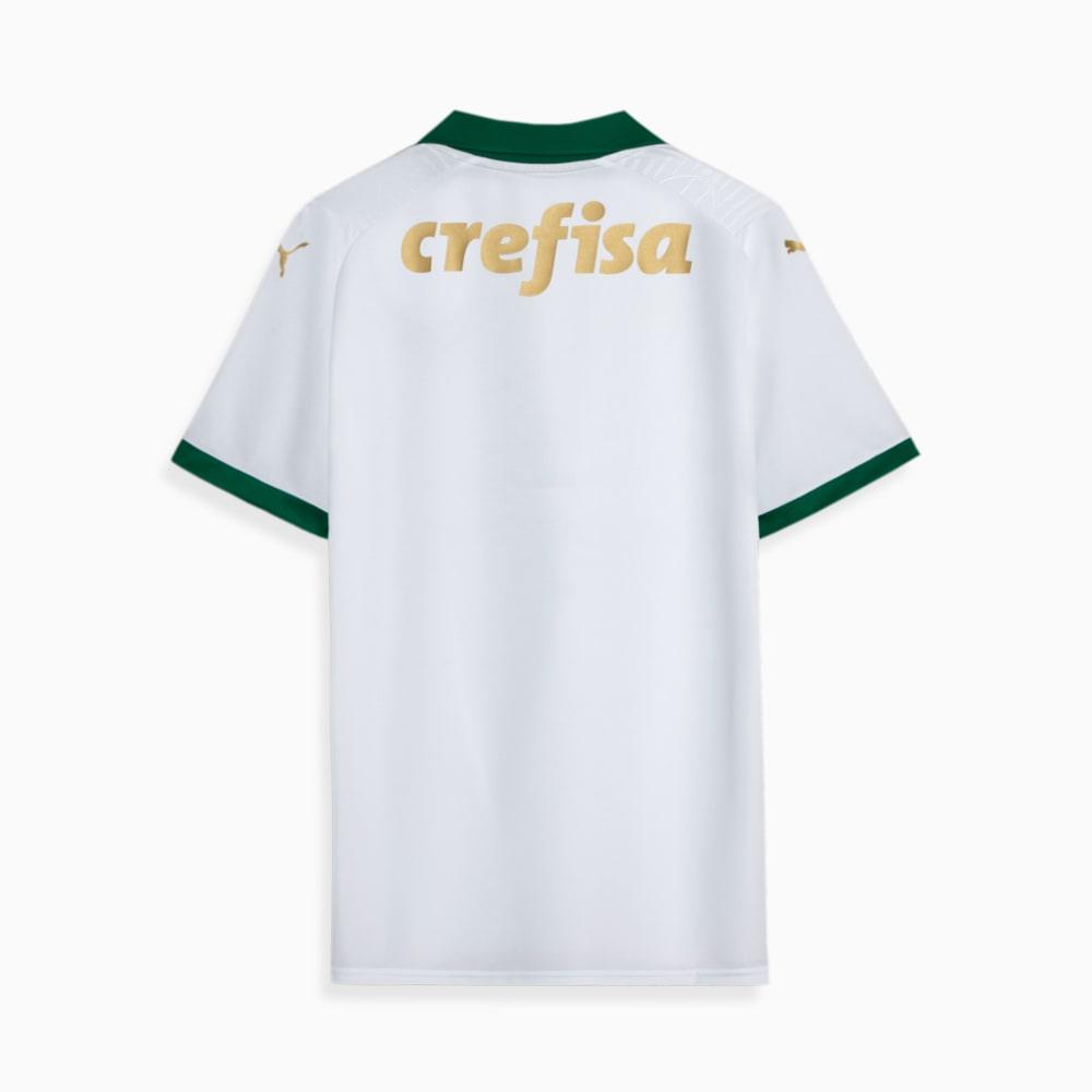 Camisa Puma Palmeiras 2024/25 II - Manto Club