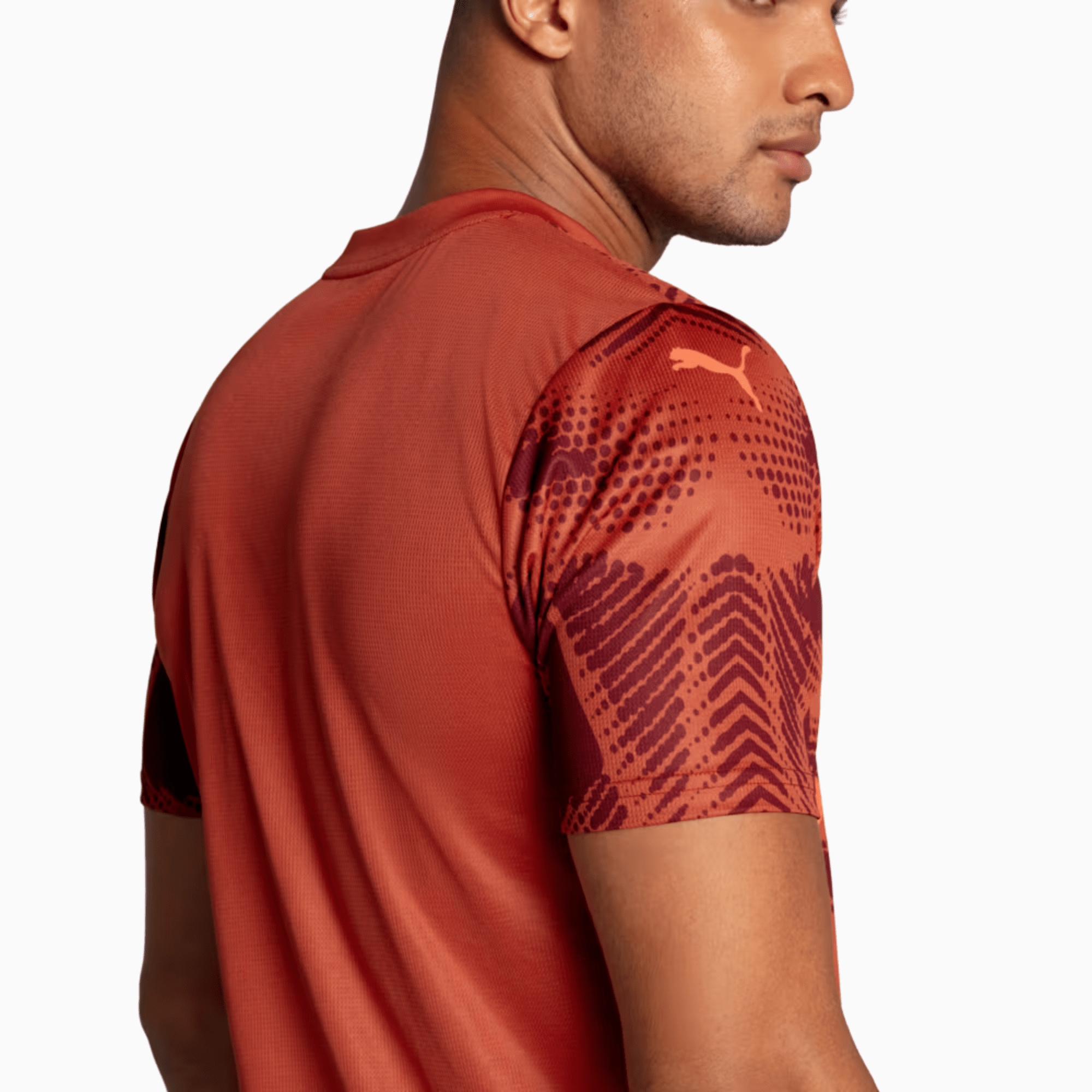 Camisa Puma Palmeiras 2025/26 Goleiro II - Manto Club