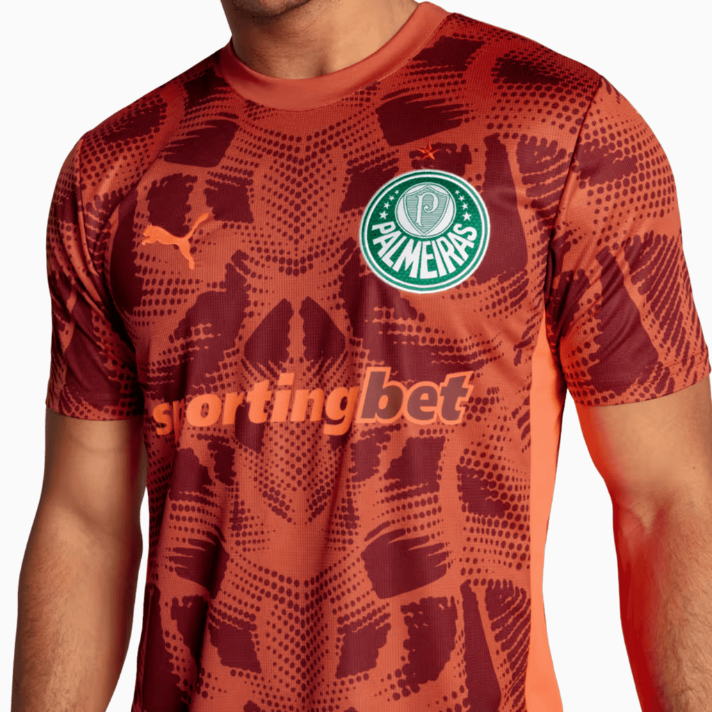 Camisa Puma Palmeiras 2025/26 Goleiro II - Manto Club