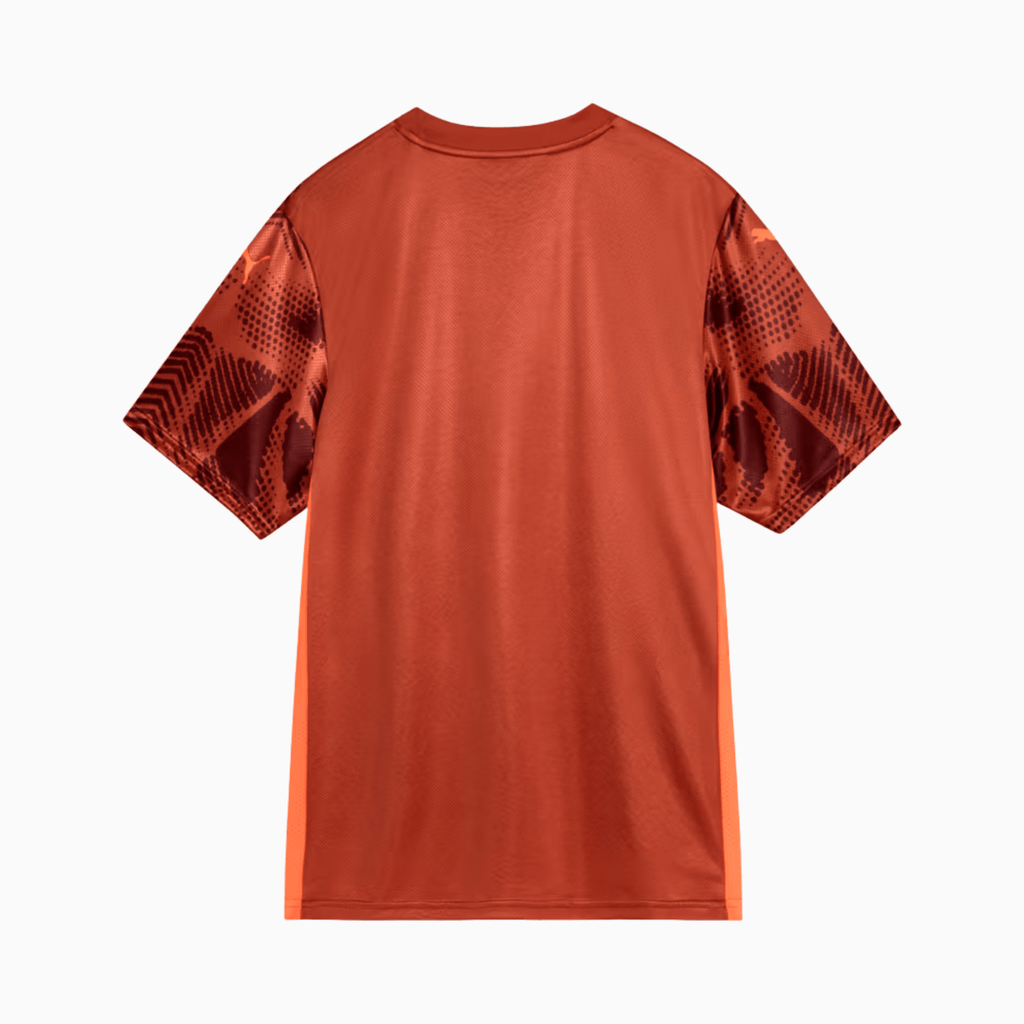 Camisa Puma Palmeiras 2025/26 Goleiro II - Manto Club