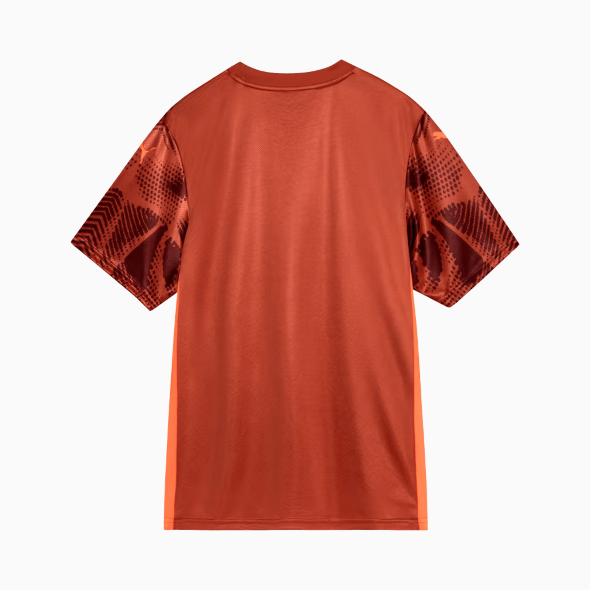 Camisa Puma Palmeiras 2025/26 Goleiro II - Manto Club