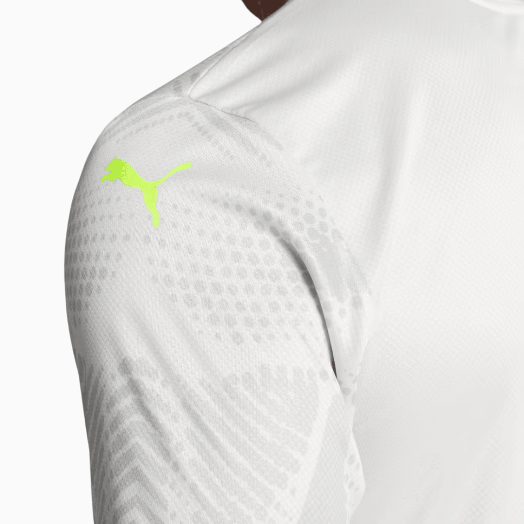 Camisa Puma Palmeiras 2025/26 Goleiro III Jogador - Manto Club