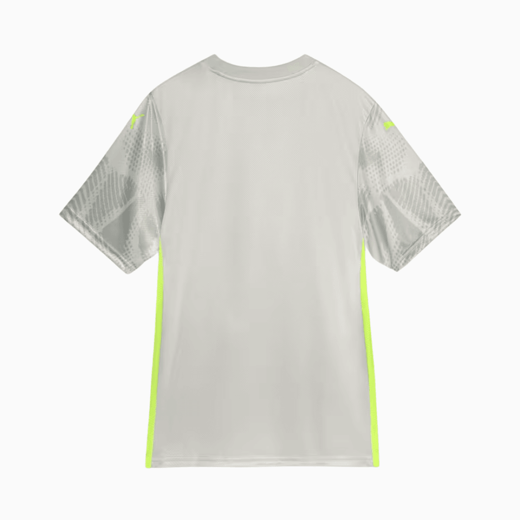 Camisa Puma Palmeiras 2025/26 Goleiro III Jogador - Manto Club