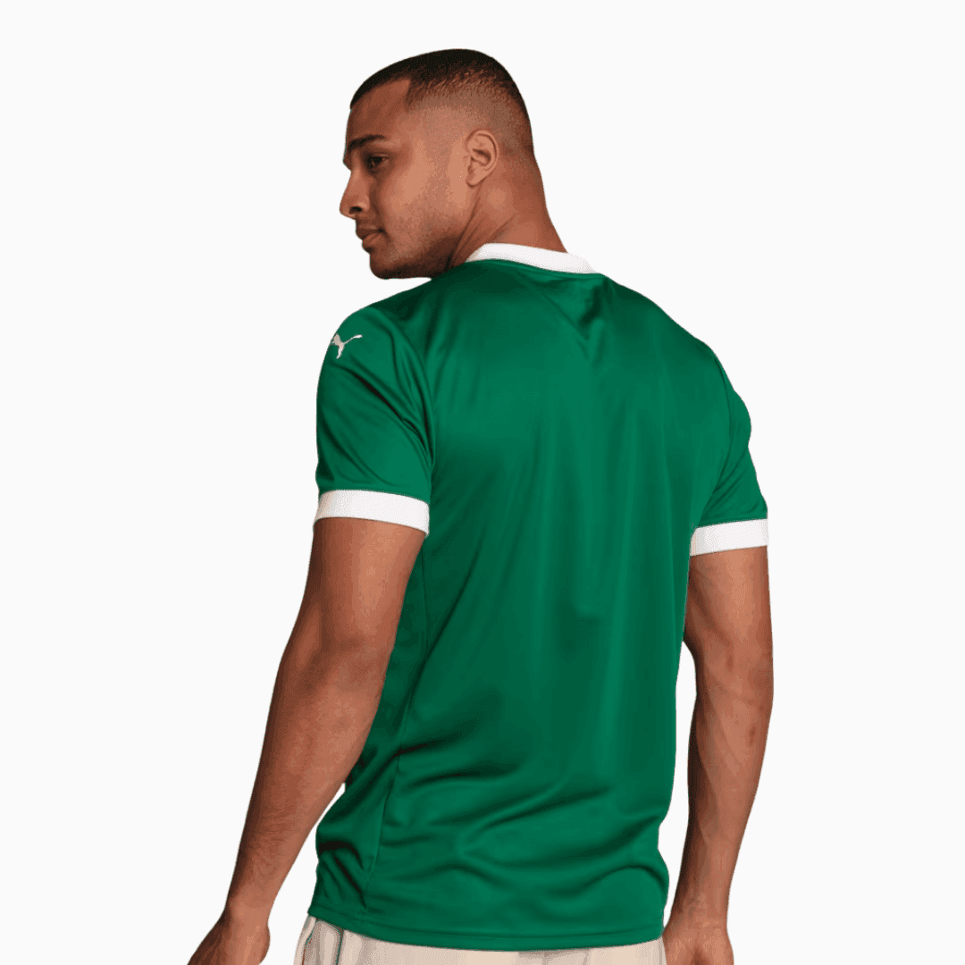 Camisa Puma Palmeiras 2025/26 I Torcedor - Manto Club
