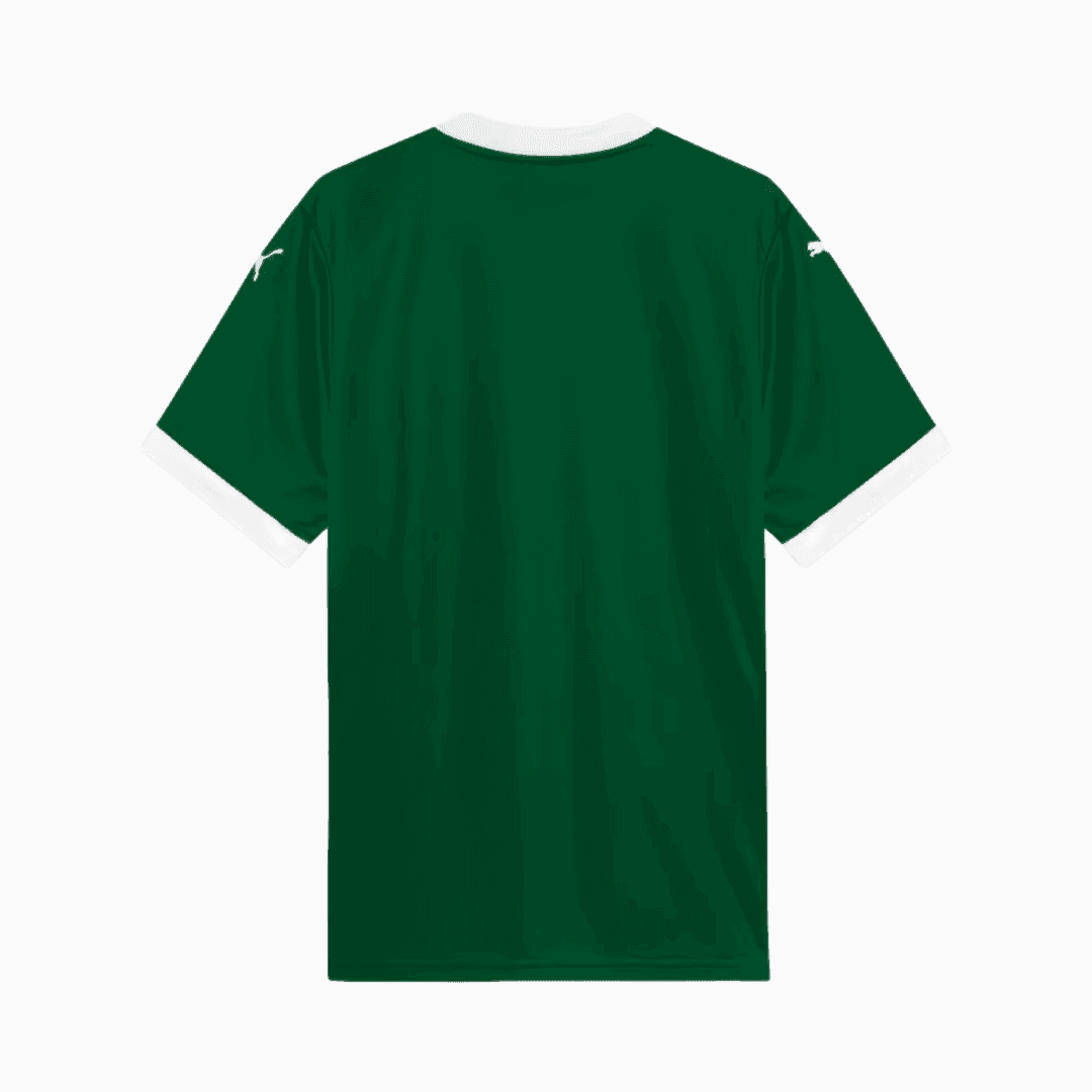 Camisa Puma Palmeiras 2025/26 I Torcedor - Manto Club