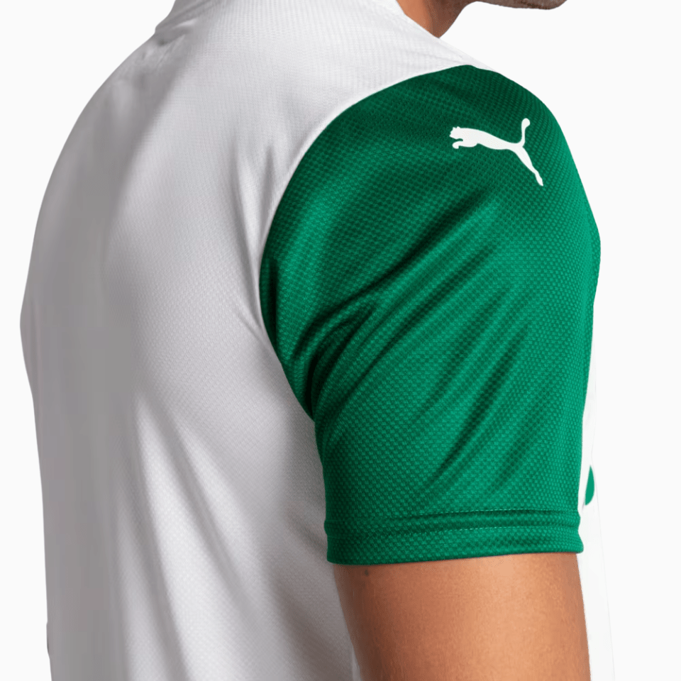 Camisa Puma Palmeiras 2025/26 II Jogador - Manto Club