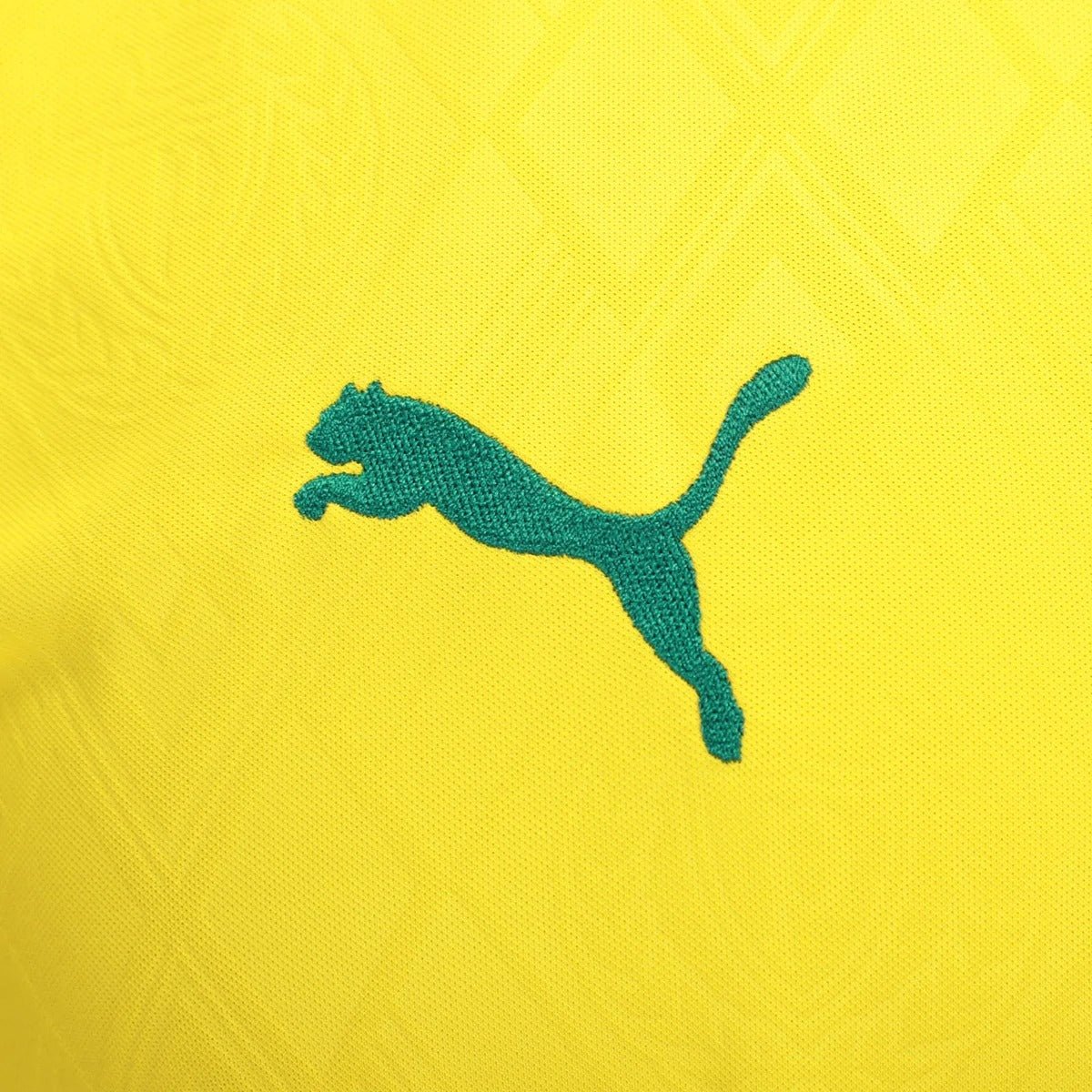 Camisa Puma Palmeiras 2025/26 III Torcedor - Manto Club