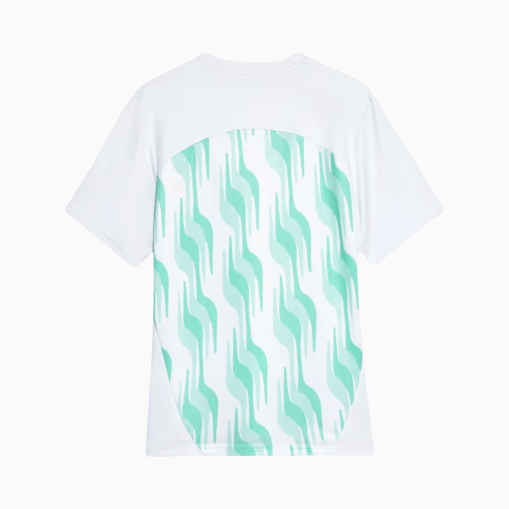 Camisa Puma Palmeiras 2025/26 Pré - Jogo - Manto Club