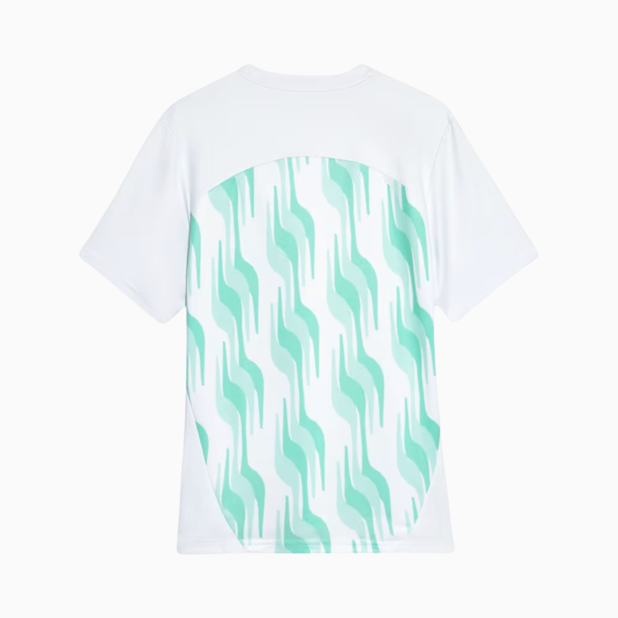 Camisa Puma Palmeiras 2025/26 Pré - Jogo - Manto Club