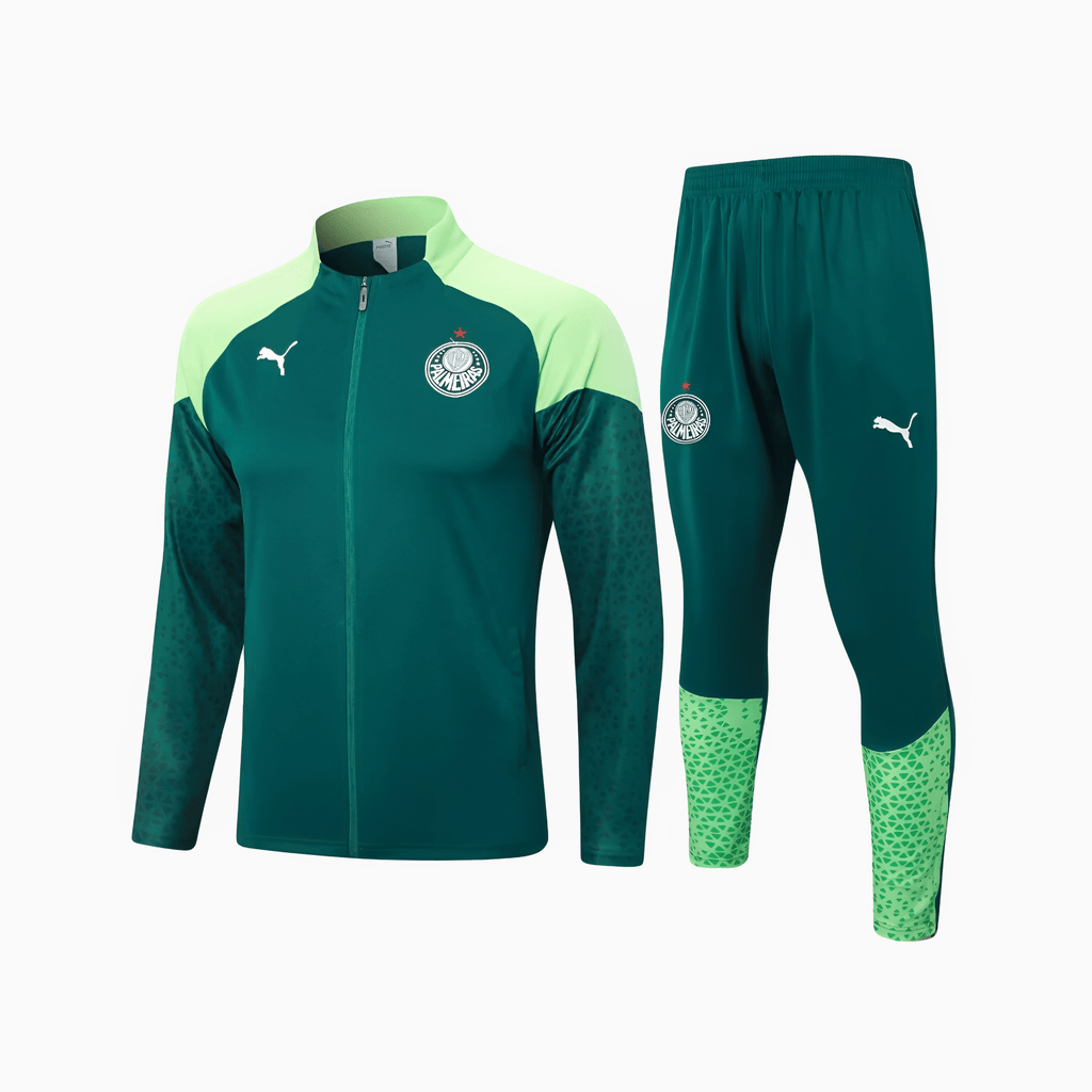 Conjunto de Treino Puma Palmeiras 2024/25 I Masculino - Manto Club