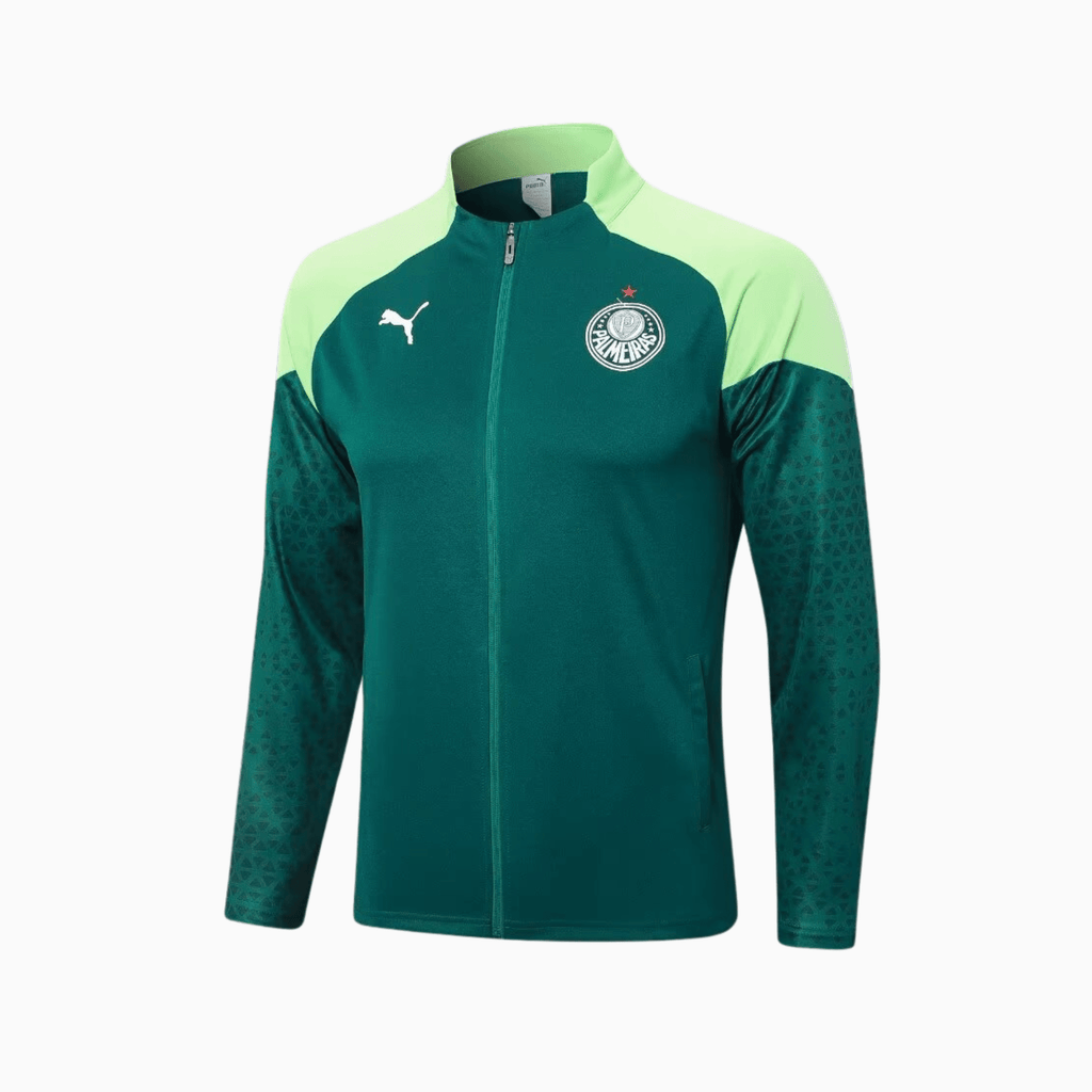 Conjunto de Treino Puma Palmeiras 2024/25 I Masculino - Manto Club