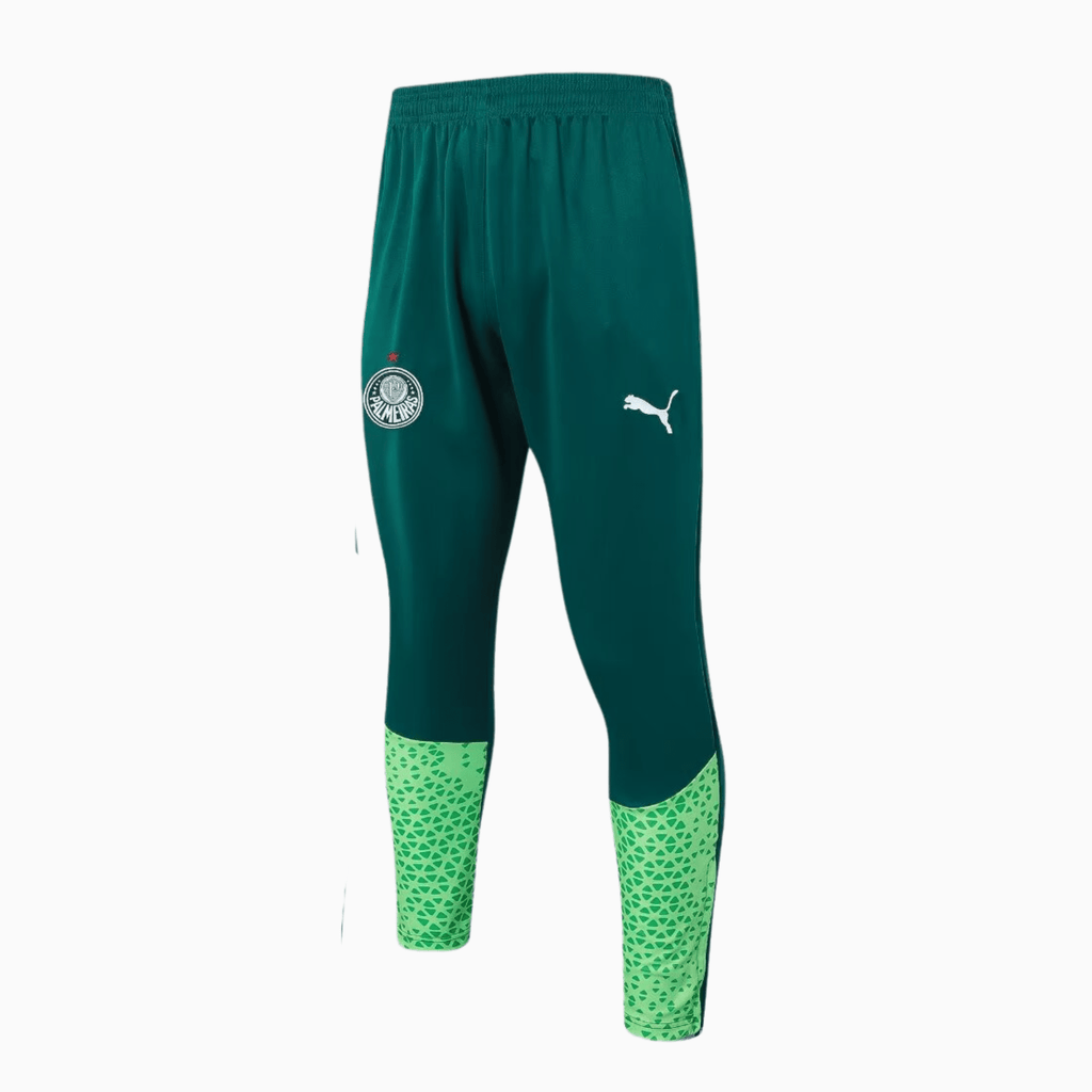 Conjunto de Treino Puma Palmeiras 2024/25 I Masculino - Manto Club