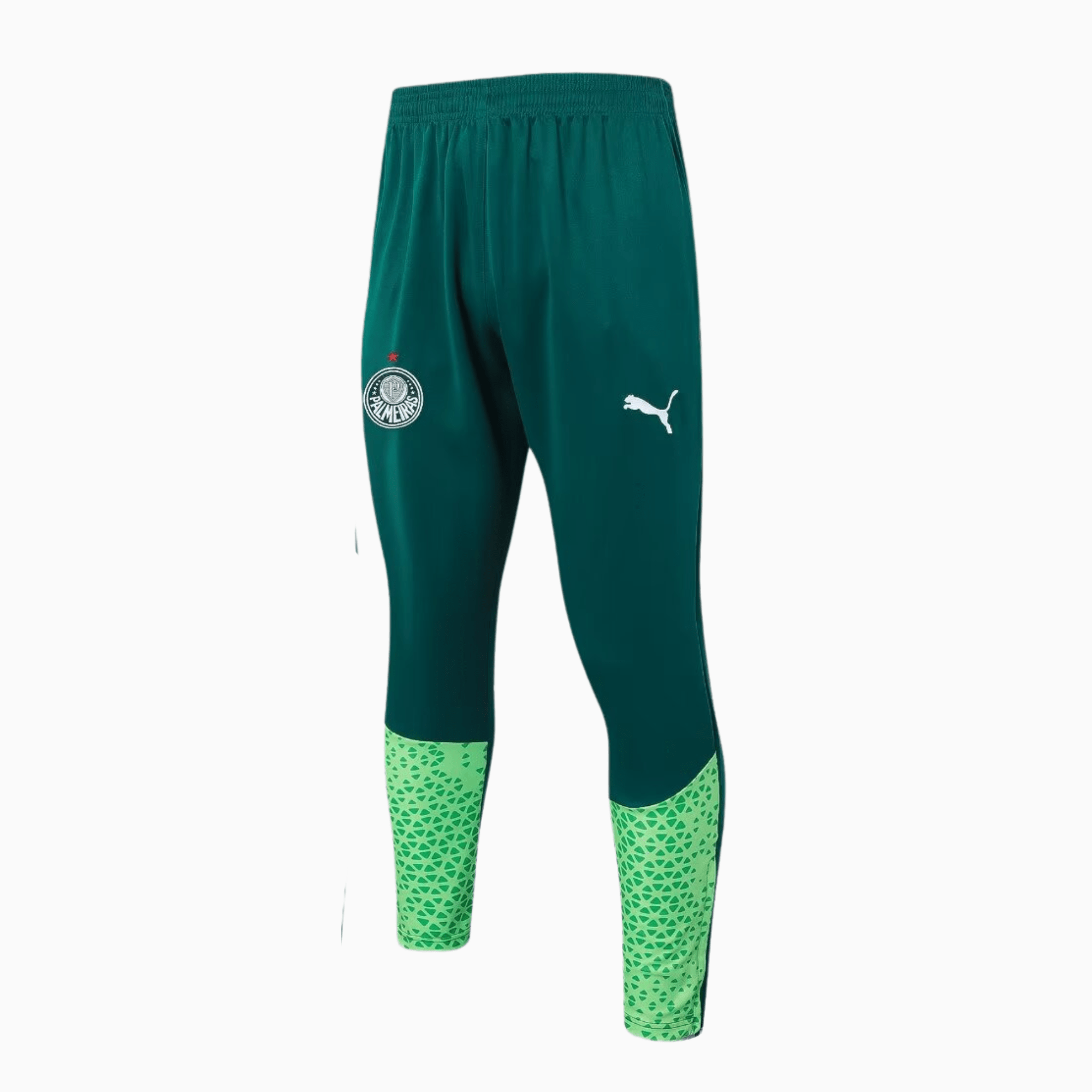Conjunto de Treino Puma Palmeiras 2024/25 I Masculino - Manto Club