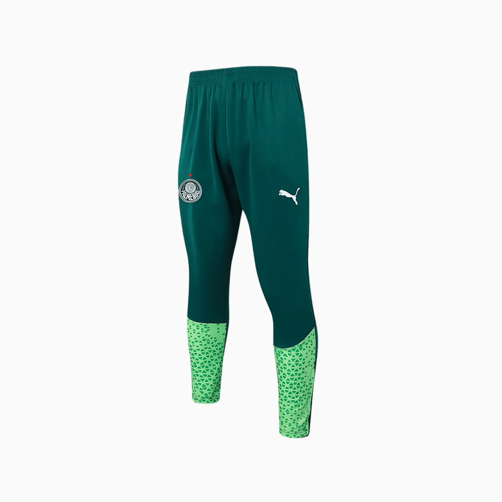 Conjunto de Treino Puma Palmeiras 2024/25 II Masculino - Manto Club