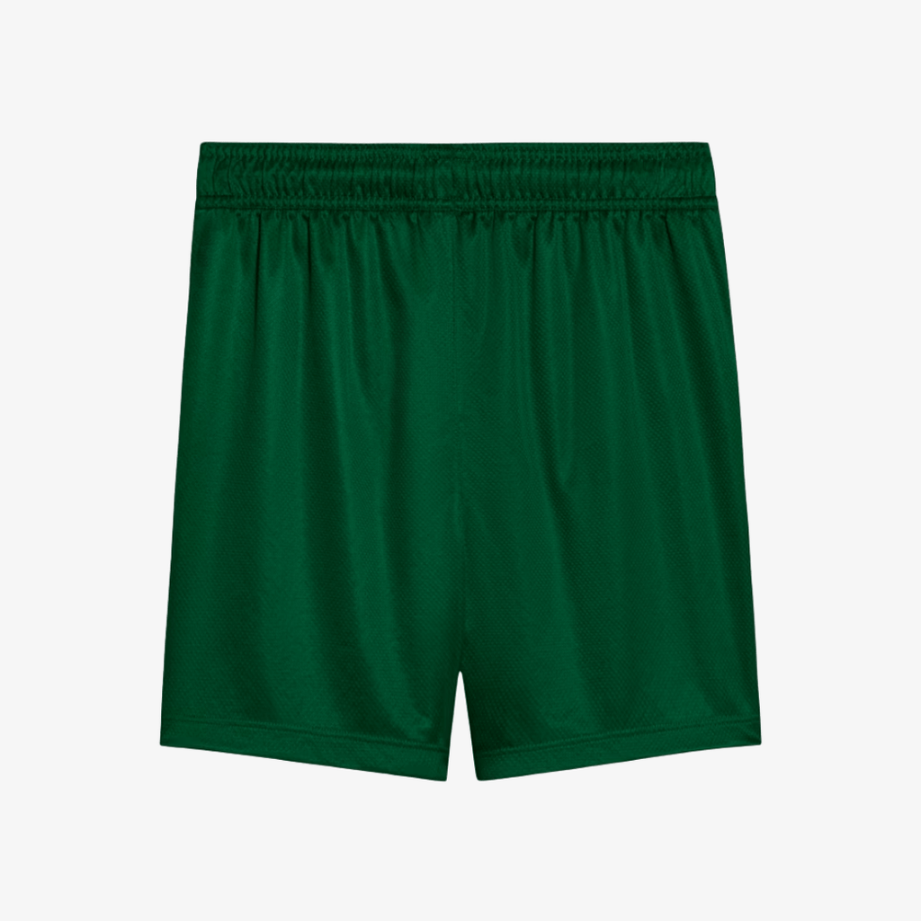 Conjunto Infantil Puma Palmeiras 2025/26 II - Manto Club