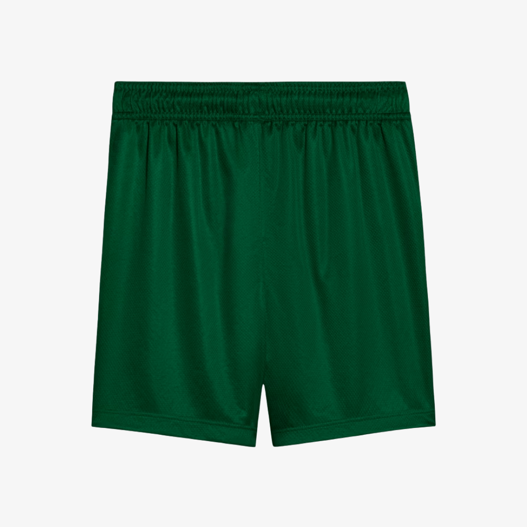 Conjunto Infantil Puma Palmeiras 2025/26 II - Manto Club