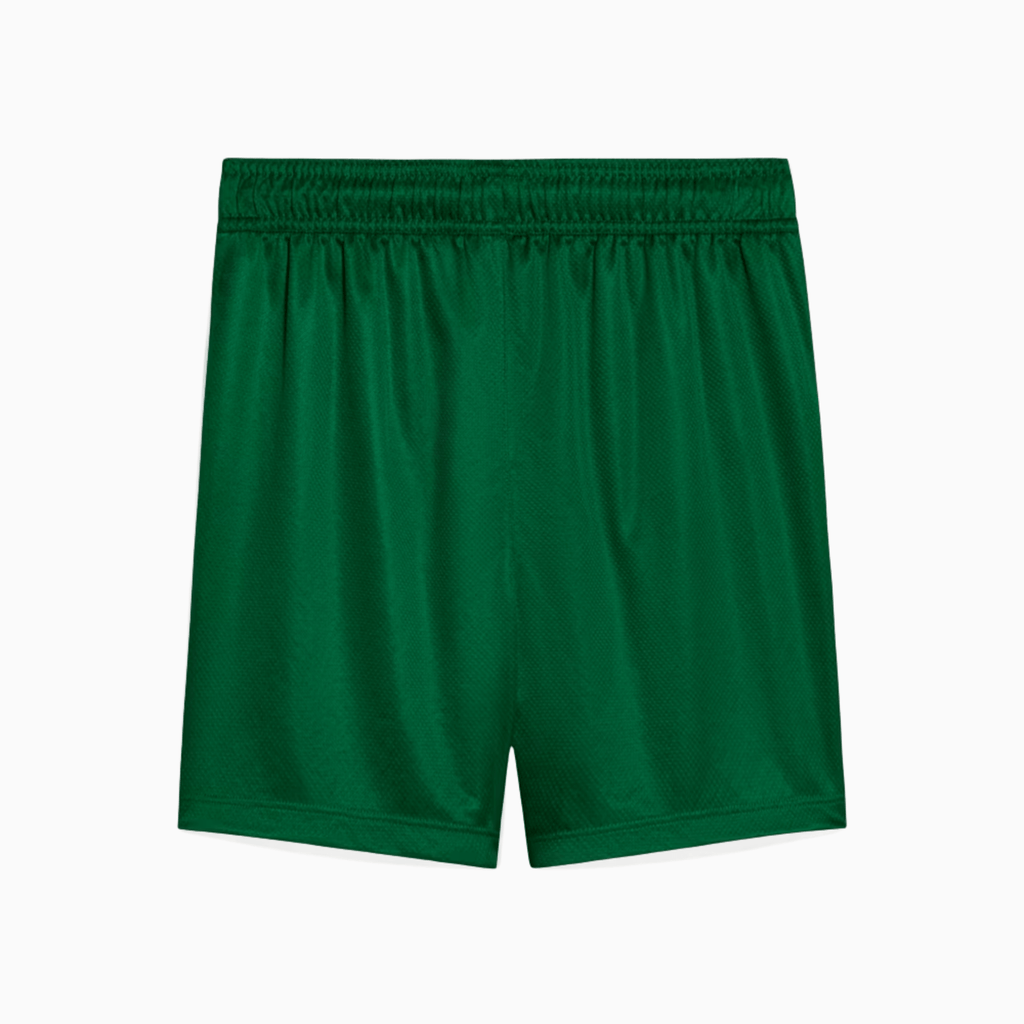 Shorts Palmeiras 2025/26 II - Manto Club